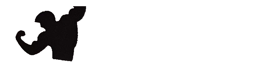 Çelik Fitness Spor Salonu
